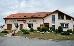 Penzion Vinarna U Hroznu