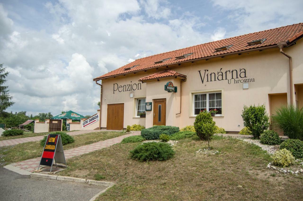 Hotel Penzion Vinarna U Hroznu Veselí nad Moravou Exterior foto